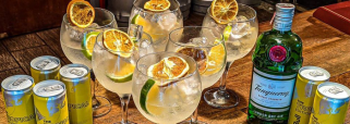 gallery/combo gin tropical